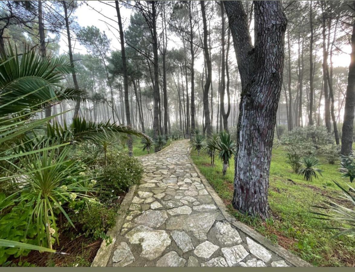 גריגולטי Andamati Beach Resort מראה חיצוני תמונה